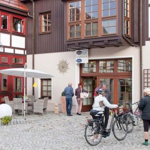 Ausstellung geöffnet - Beratung und Verlauf - Galerie Kwozalla, KWOZALLA Wintergärten aus Dorfhain bei Dresden